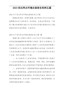 2023优化网点环境自查报告范例五篇