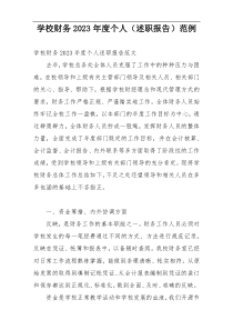 学校财务2023年度个人（述职报告）范例