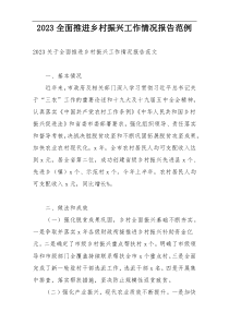 2023全面推进乡村振兴工作情况报告范例