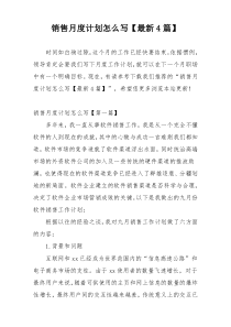 销售月度计划怎么写【最新4篇】