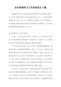 会计助理实习工作总结范文5篇