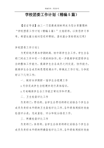 学校团委工作计划（精编5篇）