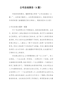公司总结报告（4篇）