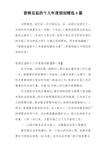 营销总监的个人年度规划精选4篇