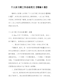 个人实习期工作总结范文【精编5篇】