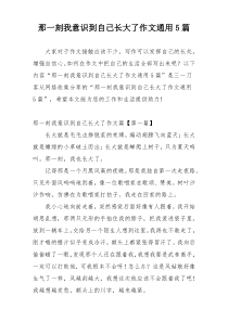 那一刻我意识到自己长大了作文通用5篇