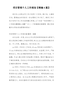 项目管理个人工作规划【精编4篇】