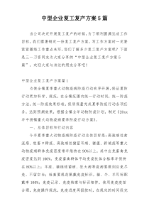 中型企业复工复产方案5篇