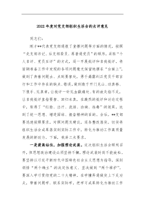 2022年度对党支部组织生活会的点评意见