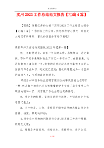 实用2023工作总结范文报告【汇编4篇】