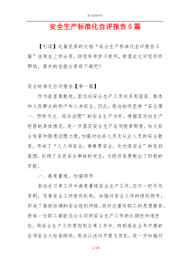 安全生产标准化自评报告5篇