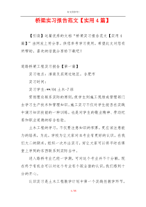 桥梁实习报告范文【实用4篇】