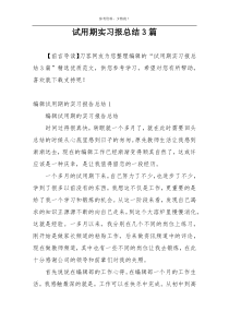 试用期实习报总结3篇