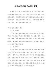 审计实习总结【实用5篇】