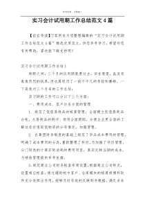 实习会计试用期工作总结范文4篇