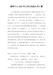 教师个人2023年工作计划怎么写5篇
