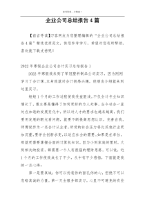 企业公司总结报告4篇