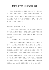 校财务处年度（述职报告）5篇