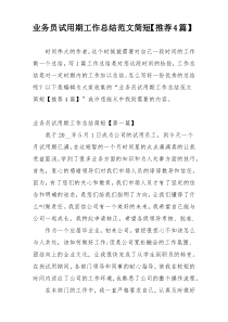 业务员试用期工作总结范文简短【推荐4篇】