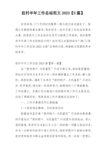 驻村半年工作总结范文2023【5篇】