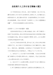 总经理个人工作计划【精编5篇】