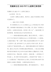 党建部主任2023年个人述职汇报范例