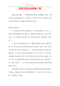 调查问卷总结精编5篇