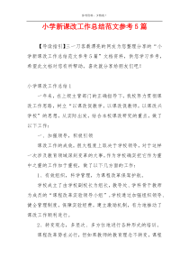 小学新课改工作总结范文参考5篇