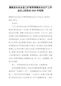 最新县长在全县工矿商贸领域安全生产工作会议上的发言2023年范例