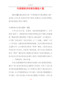年度绩效评价报告精选5篇