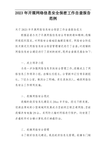 2023年开展网络信息安全保密工作自查报告范例