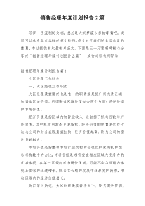 销售经理年度计划报告2篇