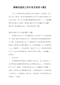 销售总监的工作计划【实用4篇】