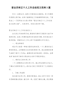 营业员转正个人工作总结范文范例3篇