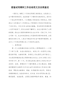 借鉴试用期间工作总结范文及自我鉴定