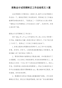 报账会计试用期转正工作总结范文3篇
