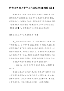 销售业务员上半年工作总结范文【精编4篇】