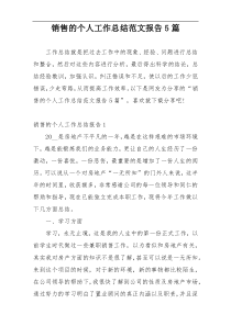 销售的个人工作总结范文报告5篇