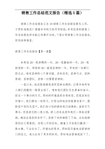 销售工作总结范文报告（精选5篇）