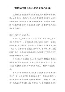 销售试用期工作总结范文反思5篇