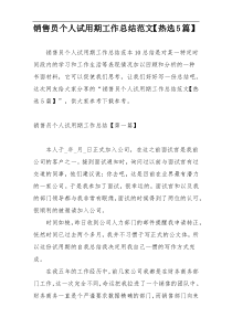 销售员个人试用期工作总结范文【热选5篇】