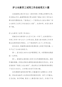 护士长新员工试用工作总结范文5篇