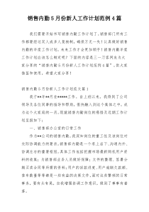 销售内勤5月份新人工作计划范例4篇
