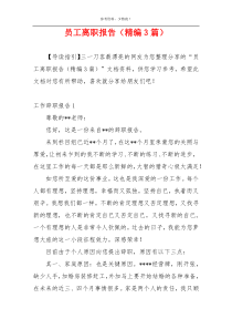 员工离职报告（精编3篇）