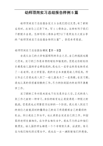 幼师顶岗实习总结报告样例5篇