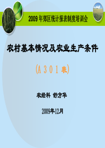 X年郊区统计报表制度培训会