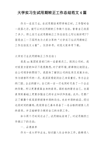 大学实习生试用期转正工作总结范文4篇