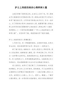 护士上岗前的培训心得样例5篇