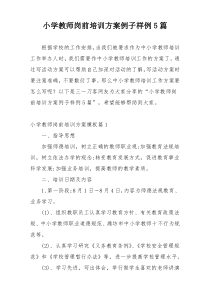 小学教师岗前培训方案例子样例5篇