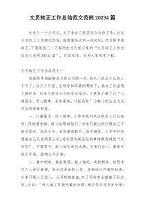 文员转正工作总结范文范例20234篇